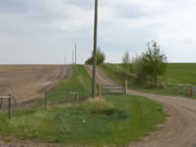 Lease Road Weed Control